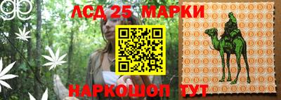 ешки Славянск-на-Кубани