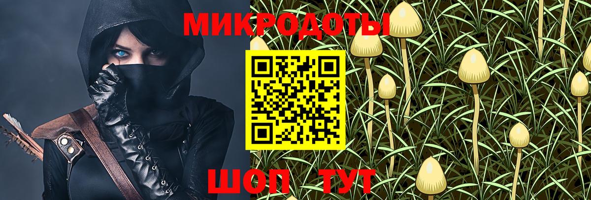 Псилоцибиновые грибы MAGIC MUSHROOMS  купить   Родники  Вход с VPN 