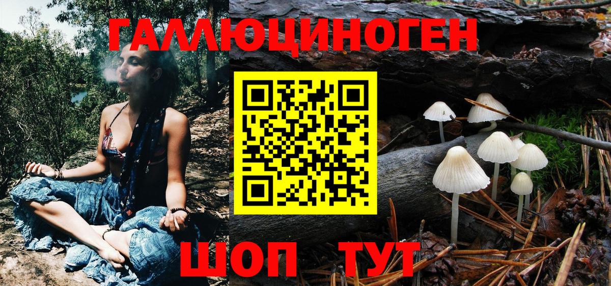 Псилоцибиновые грибы мицелий Родники